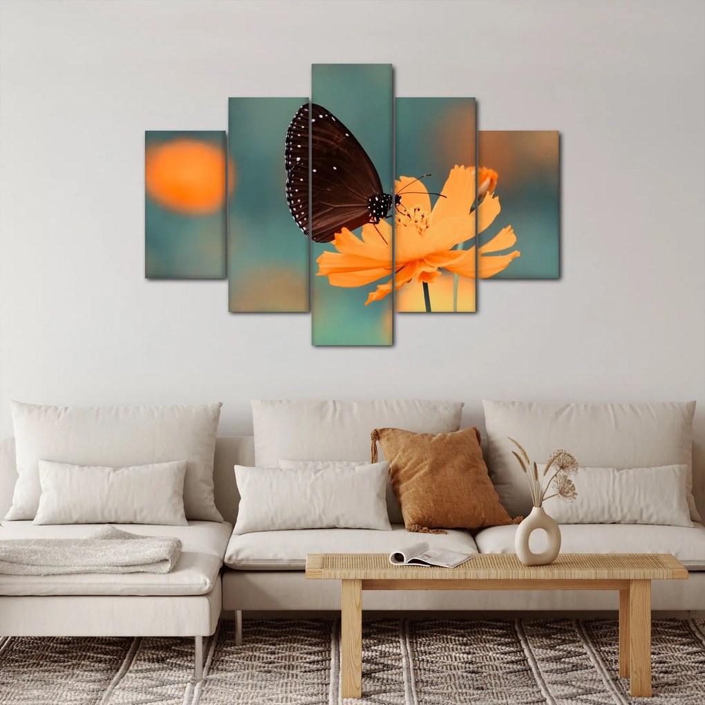Tablou - fluture pe o floare portocalie (150x105 cm)