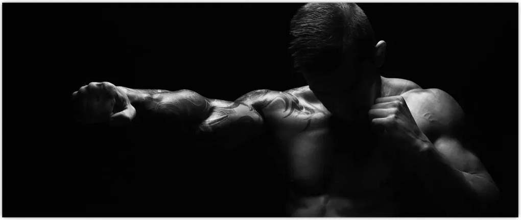 Tablou - Lovitura cu pumn (120x50 cm)