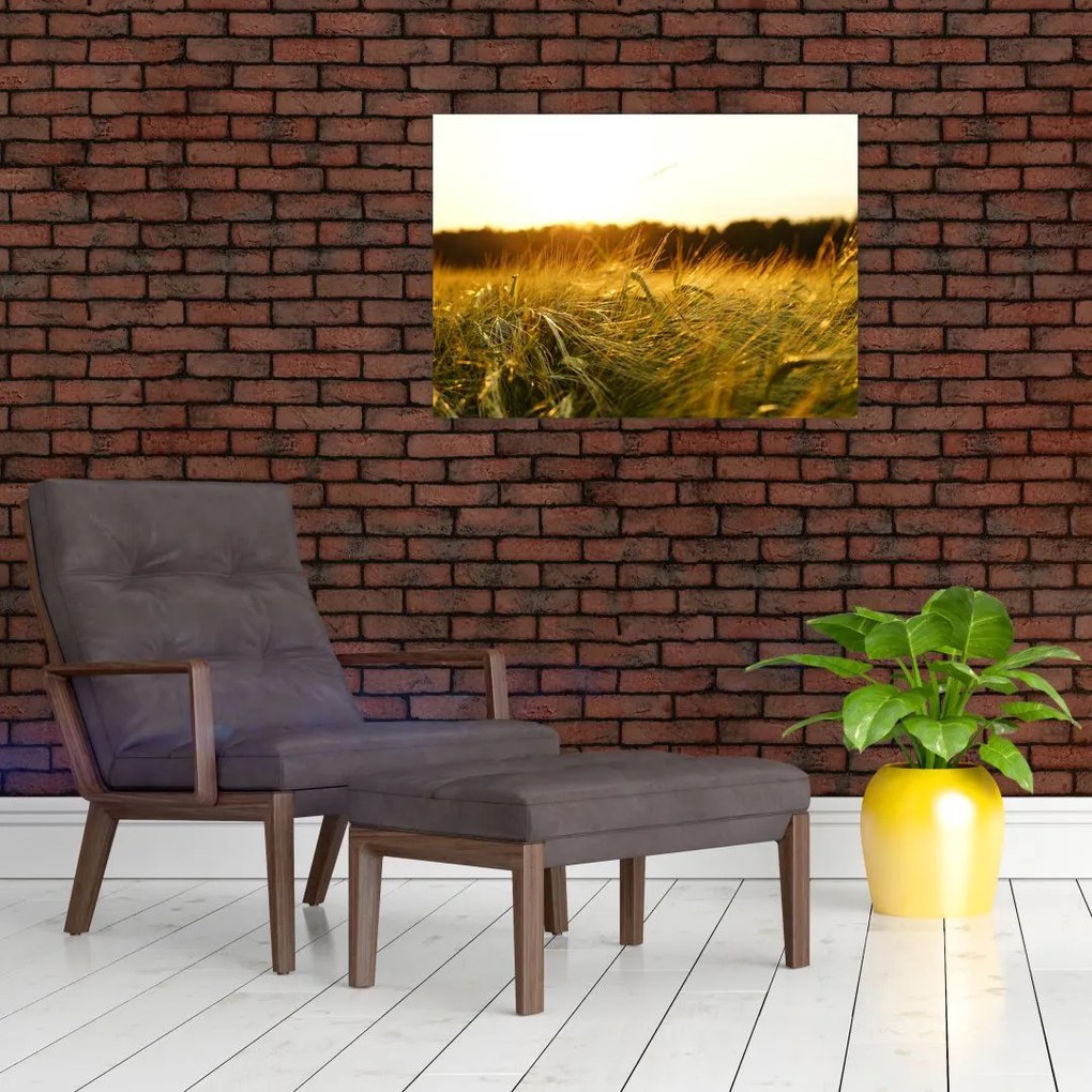Tablou iarba cu rouă (70x50 cm)