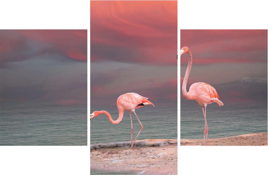 Tablou - Flamingo (90x60 cm)