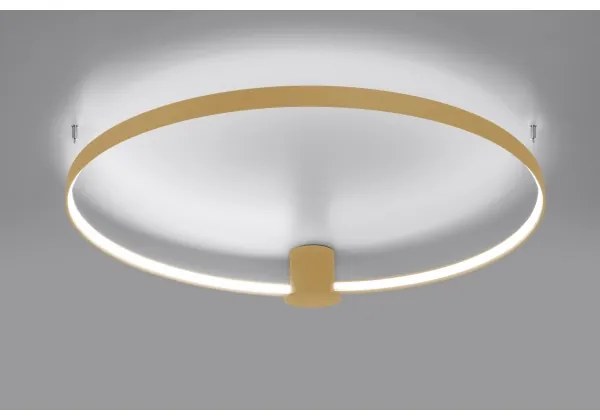 Thoro TH.223 - Plafonieră LED RIO, 30W, 230V, CRI 98, 4000K, Ø 55 cm, auriu