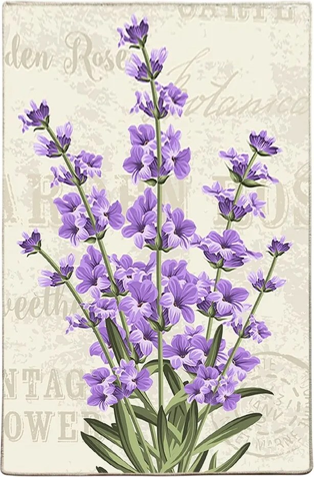 Covor, Lavender Djt, 80x120 cm, Multicolor