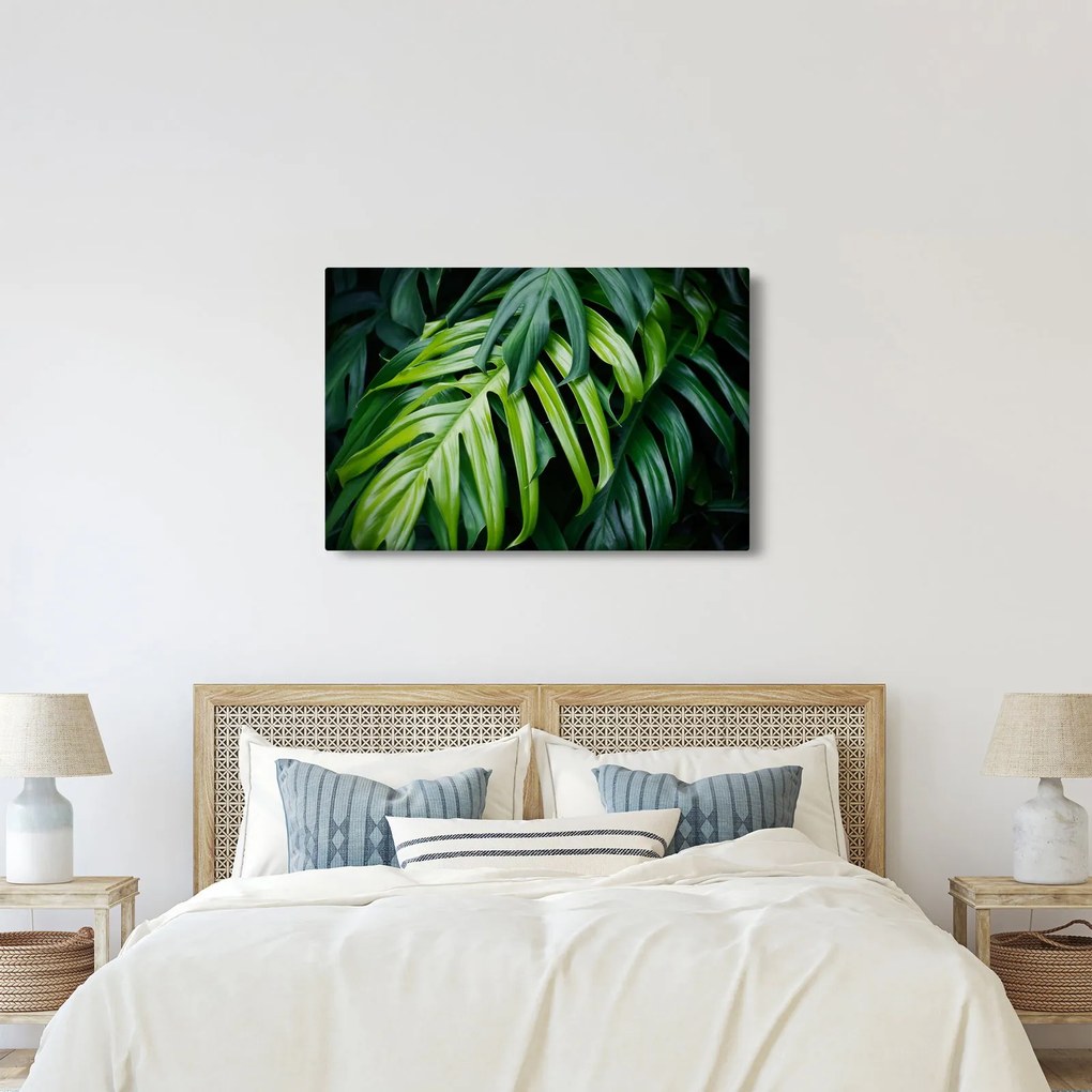 Tablou - Frunze tropicale (90x60 cm)