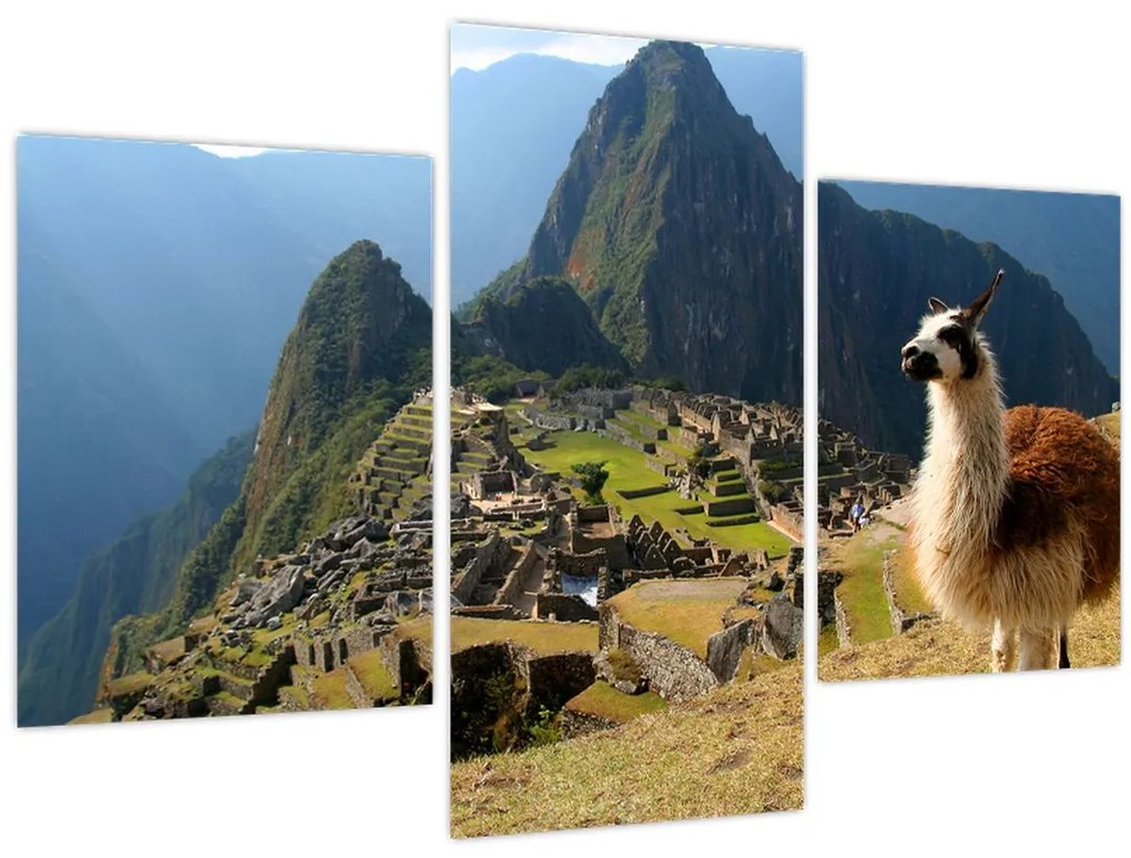 Tablou - Lama și Machu Picchu (90x60 cm)
