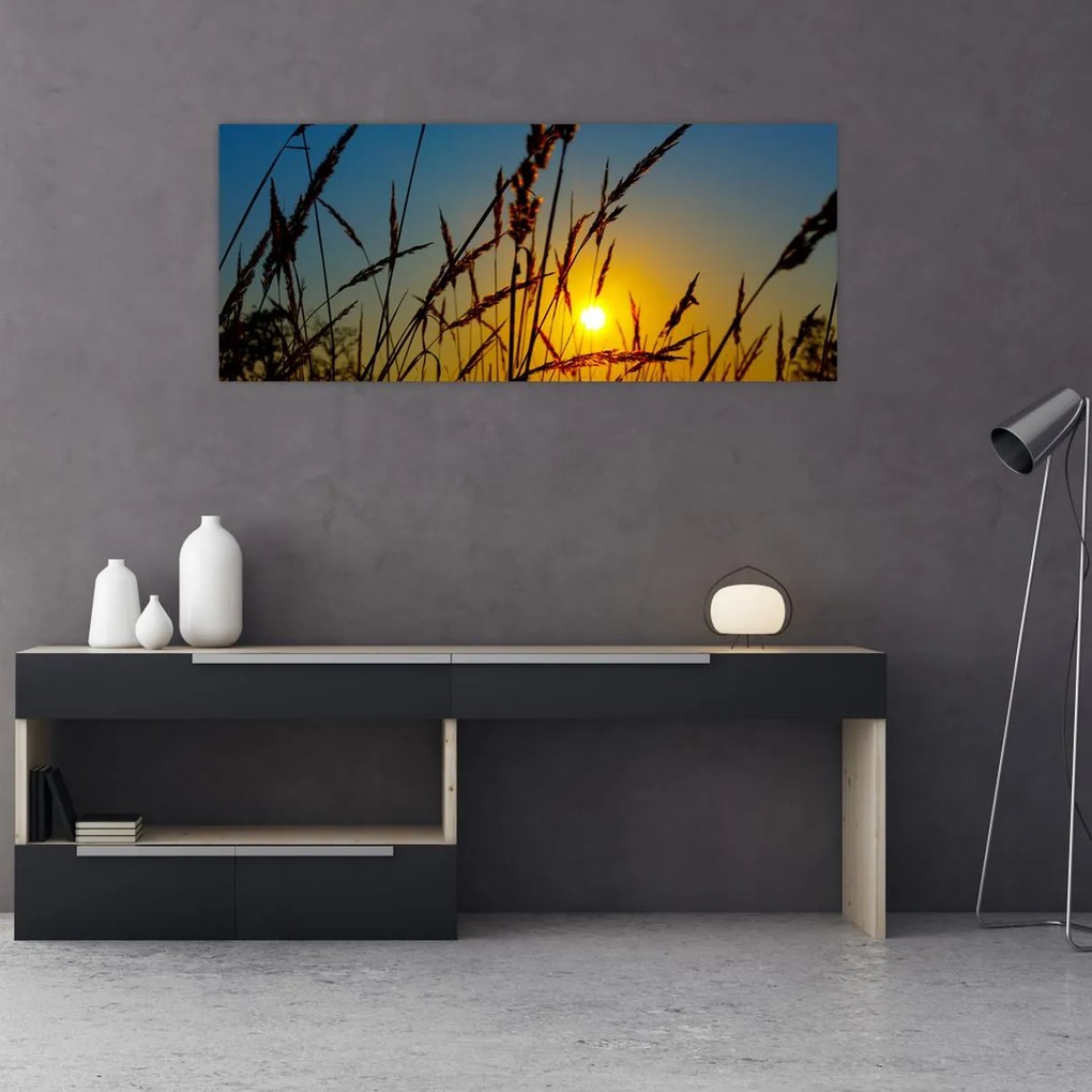 Tablou - Apus de soare pe pajiște (120x50 cm)