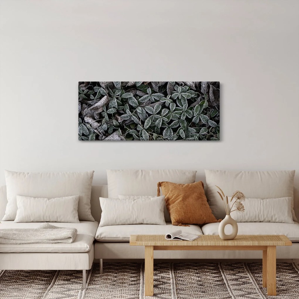 Tablou - Plante înghețate (120x50 cm)