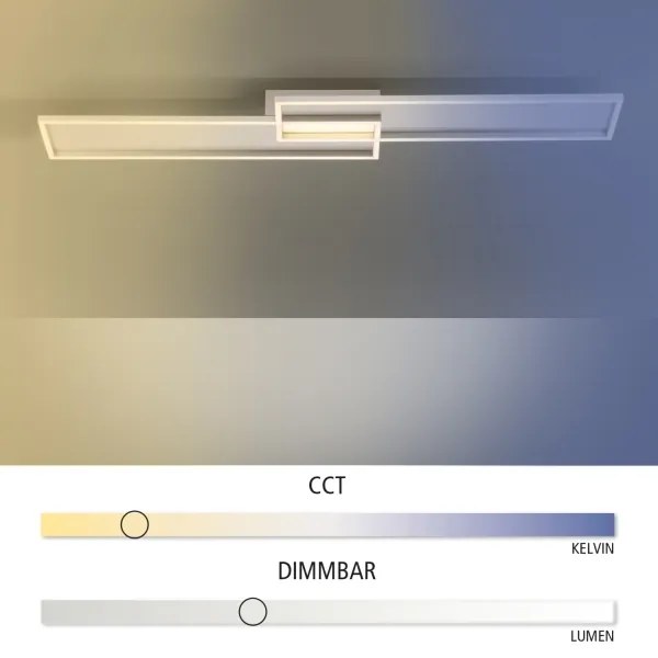 Paul Neuhaus 8371-55 - Lumină de tavan cu LED Dimmer AMARA LED/40W/230V + telecomandă