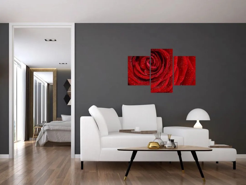 Tablou - detaliu de trandafir (90x60 cm)