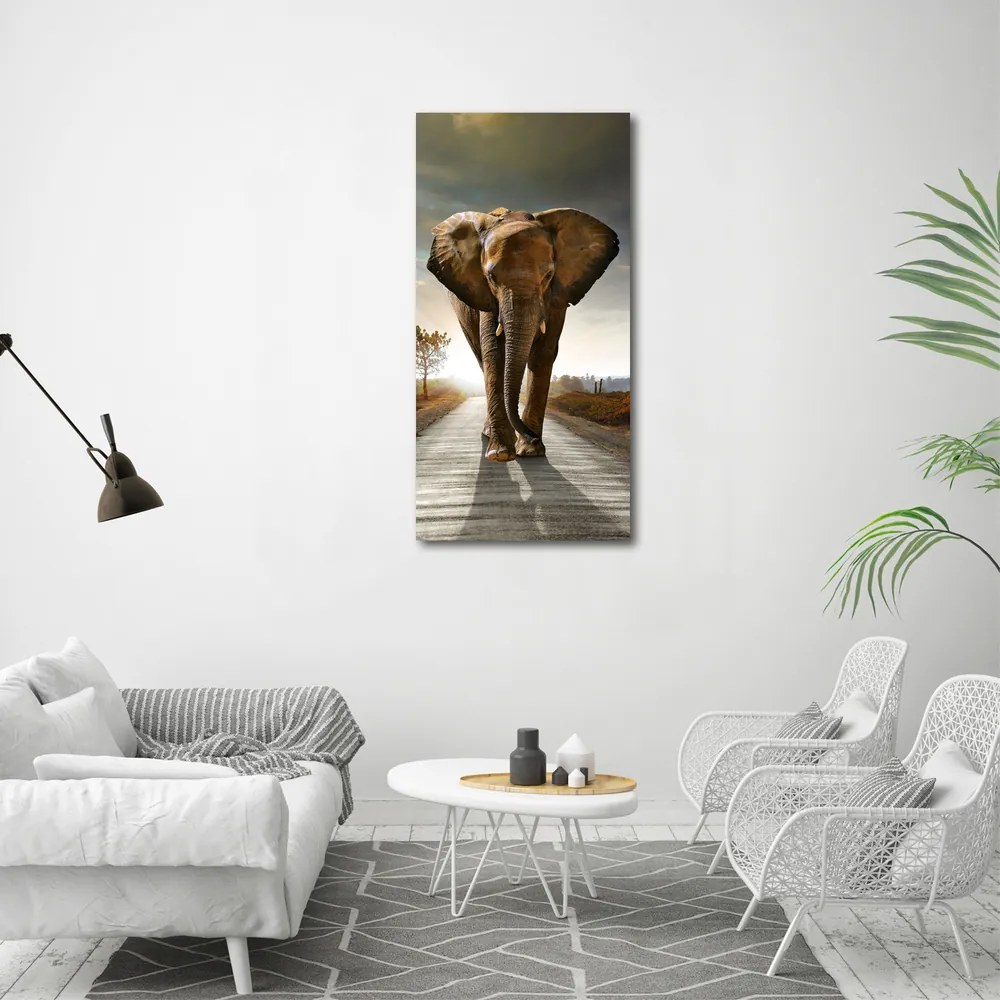 Tablou pe pânză canvas Elefant de mers pe jos