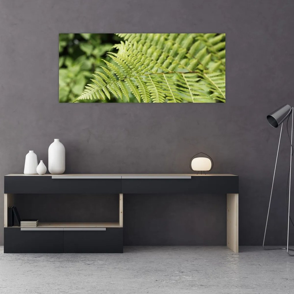 Tablou - Frunză de ferigă (120x50 cm)