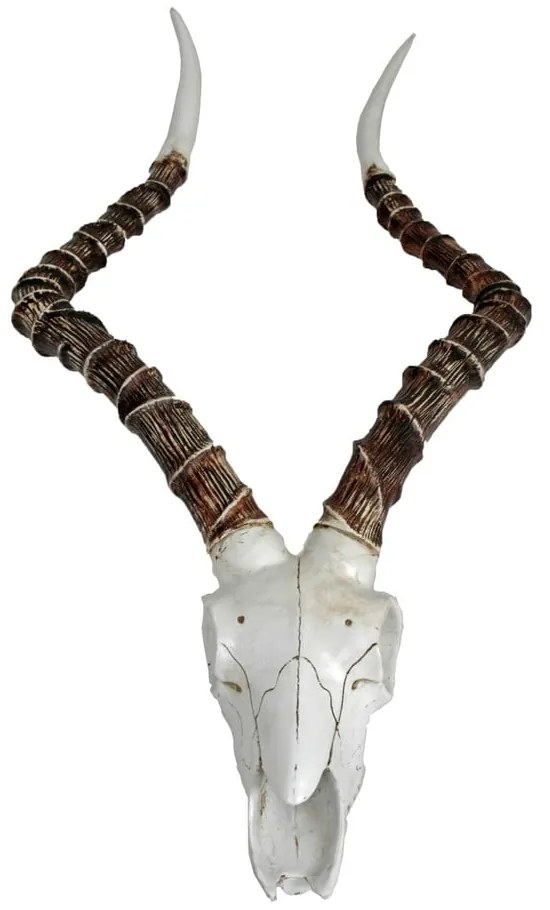 Decorațiune de perete din polirășină 33x68 cm Impalak – Deco Pleasure