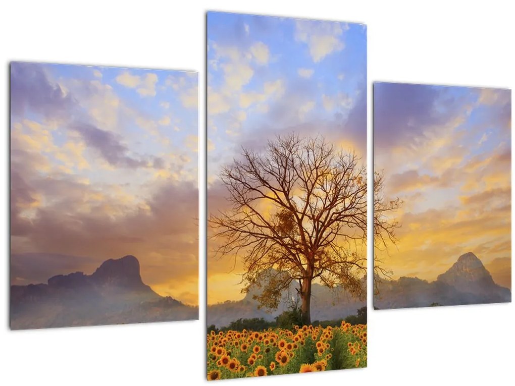 Tablou - Peisaj cu floarea soarelui (90x60 cm)