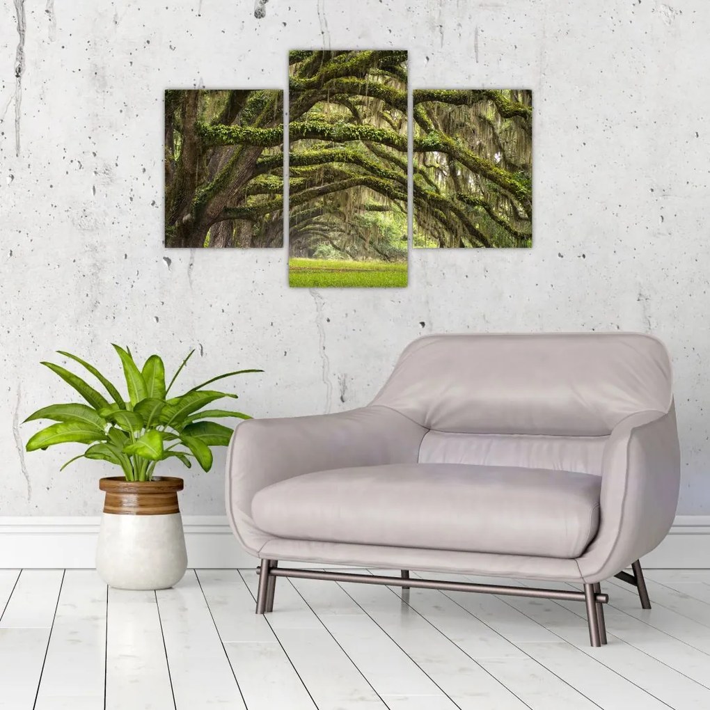 Tablou - Oaks Avenue, Charleston, Carolina de Sud, SUA (90x60 cm)