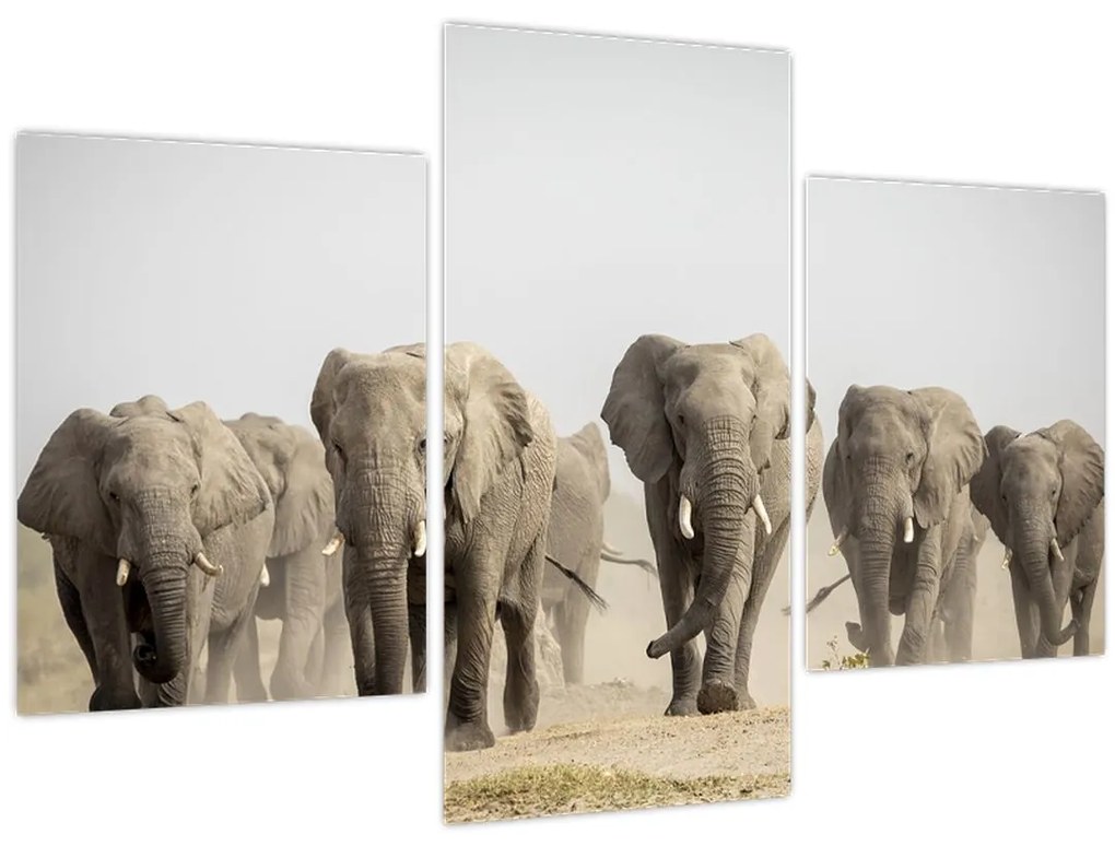 Tablou - Turmă de elefanți (90x60 cm)