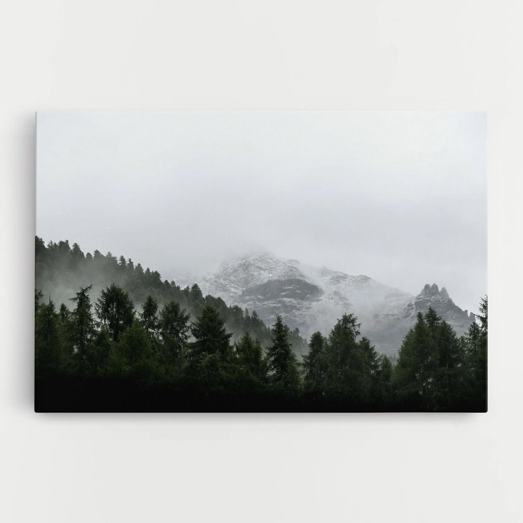 Tablou Canvas, 20x30cm, Dormitor si Living, Peisaje, Paduri, Foggy Mountain Forest