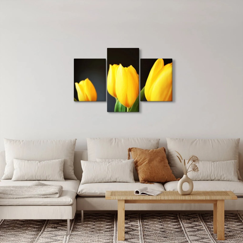 Tablou cu lalele (90x60 cm)