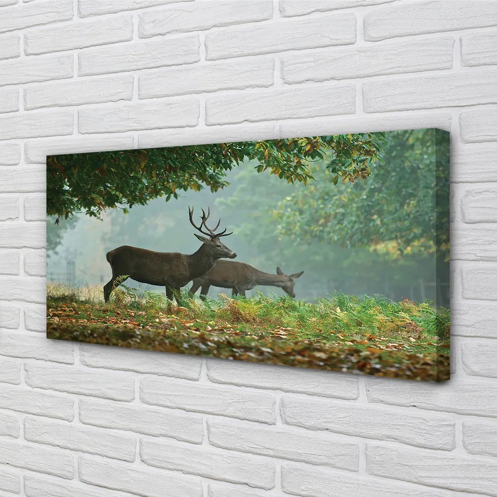 Tablouri canvas pădure toamna Deer