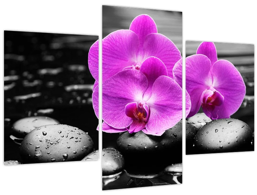 Tablou - Orhidee violet (90x60 cm)