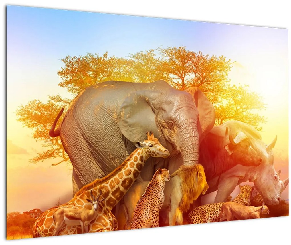Tablou - Animale africane (90x60 cm)