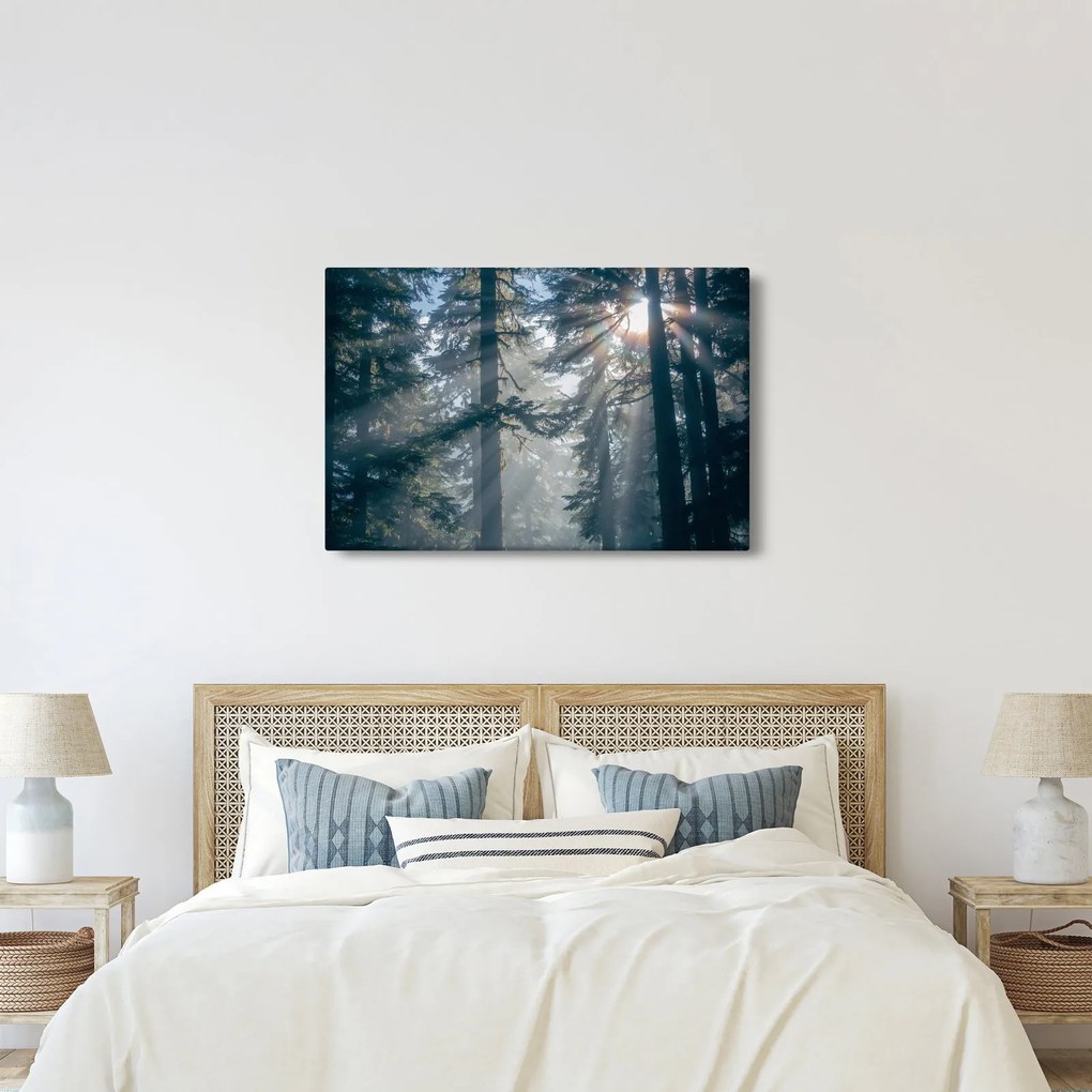 Tablou cu copaci și soarele translucind (90x60 cm)