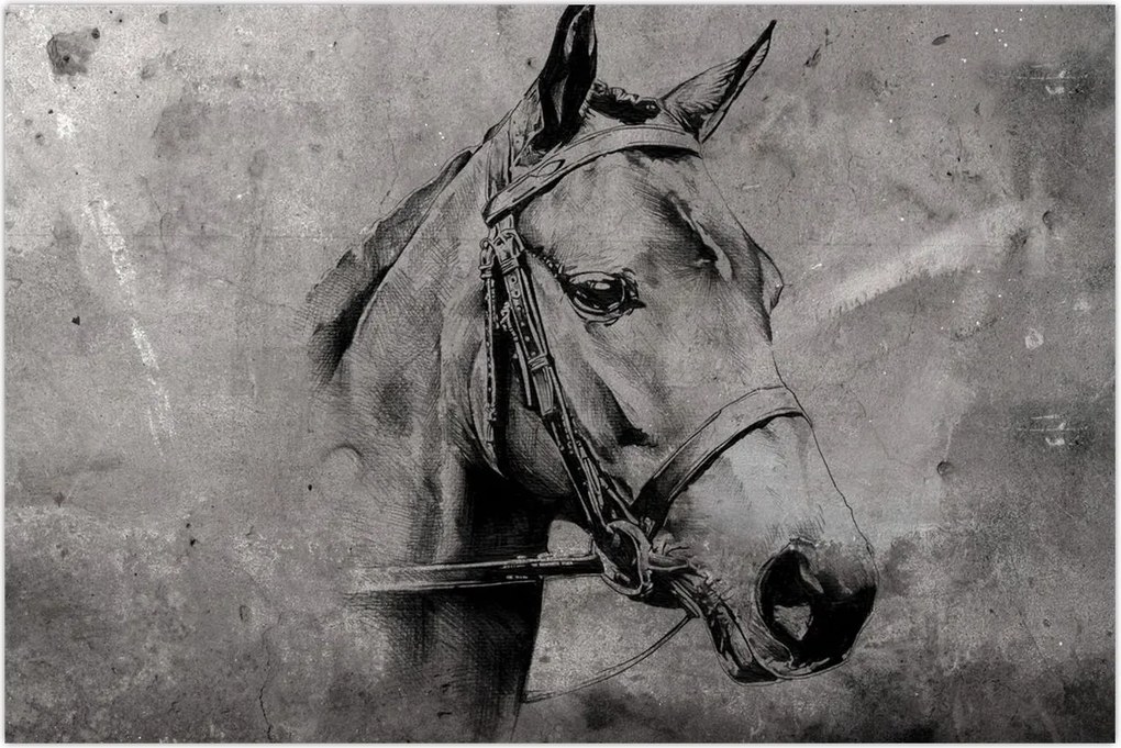 Tablou - Portret de cal (90x60 cm)