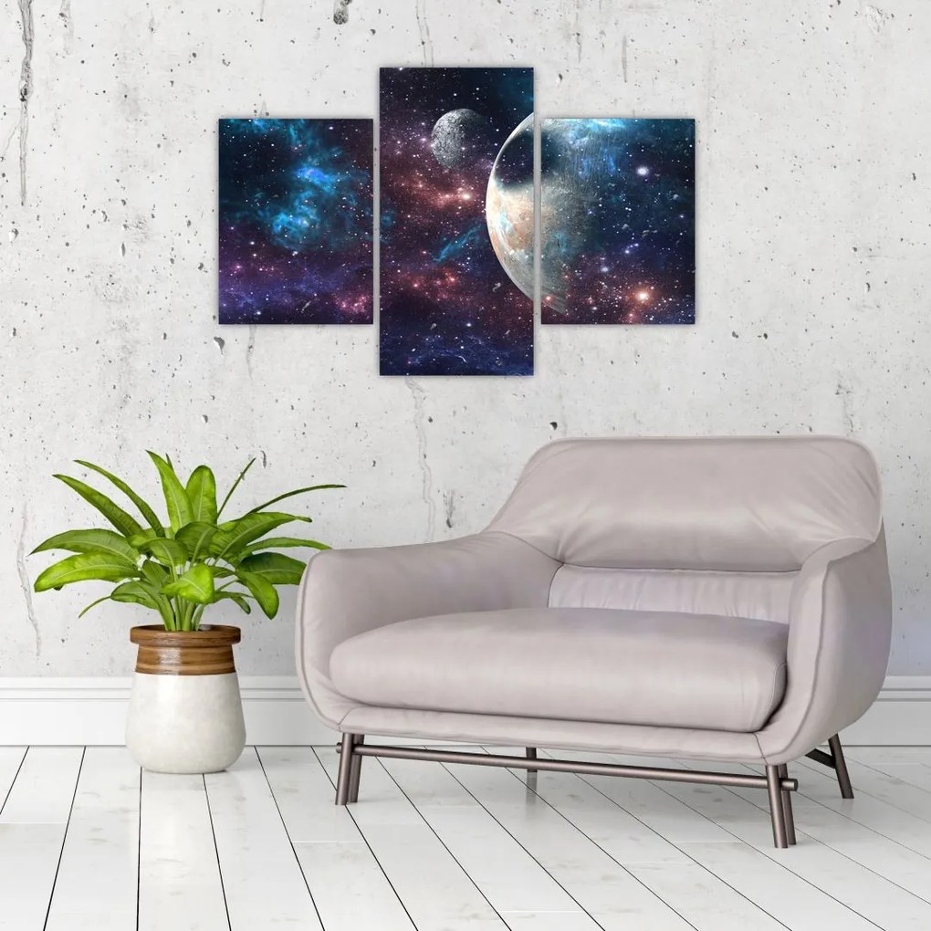 Tablou cu cosmos (90x60 cm)