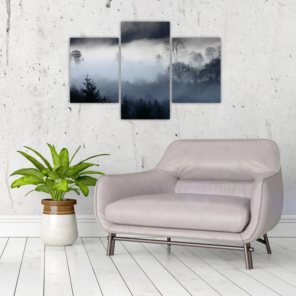 Tablou cu ceță deasupra pădurii (90x60 cm)