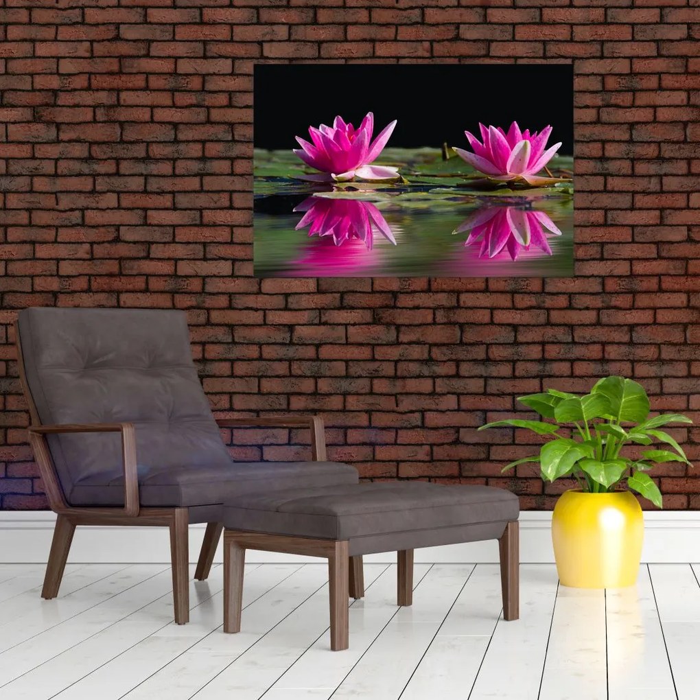 Tablou - Nuferi pe apă (90x60 cm)