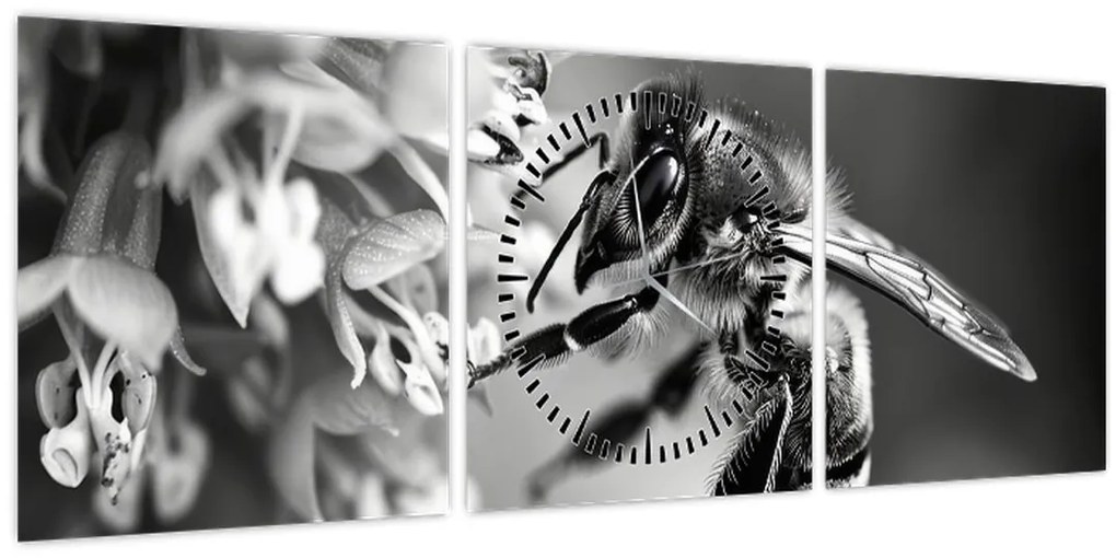 Tablou - Detaliu de albină (cu ceas) (90x30 cm)
