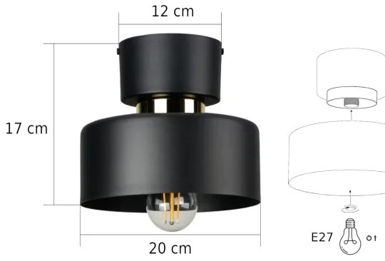 Plafonieră IGNIA 1xE27/60W/230V neagră
