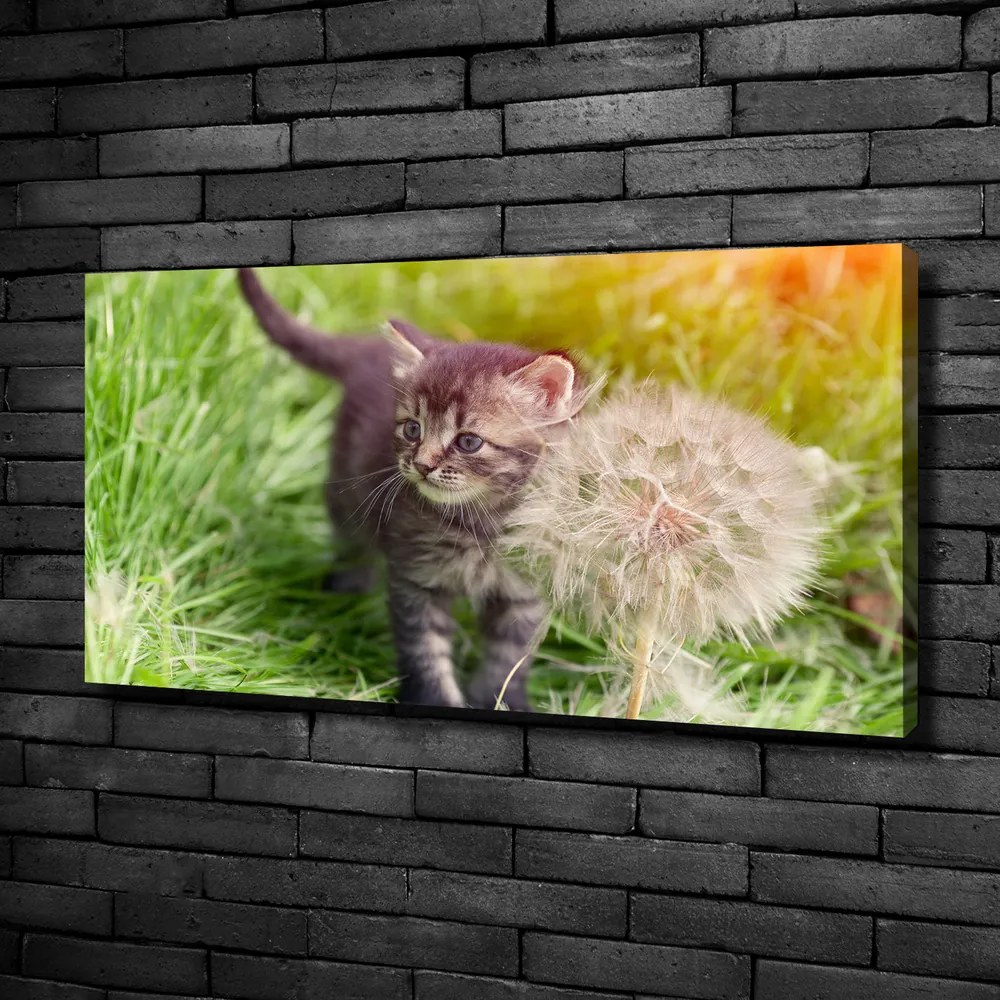 Tablou canvas Pisoi cu păpădia