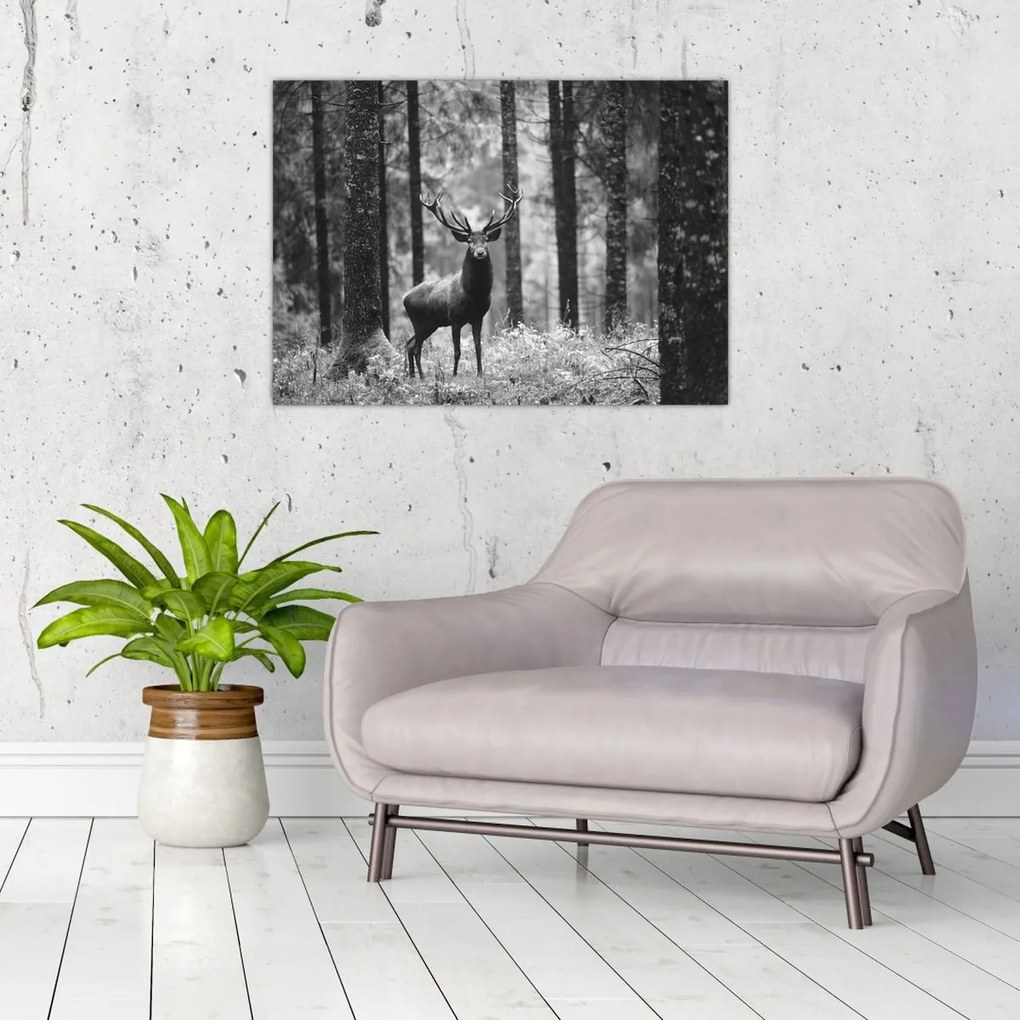 Tablou - Căprioare in pădure 2,alb-negru (70x50 cm)