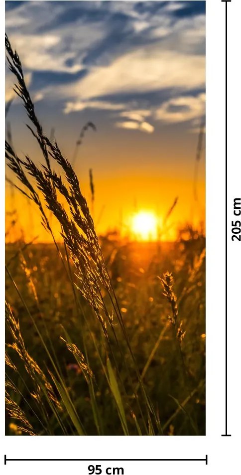 Fototapet pentru ușă - Câmp la apus de soare (95x205cm)