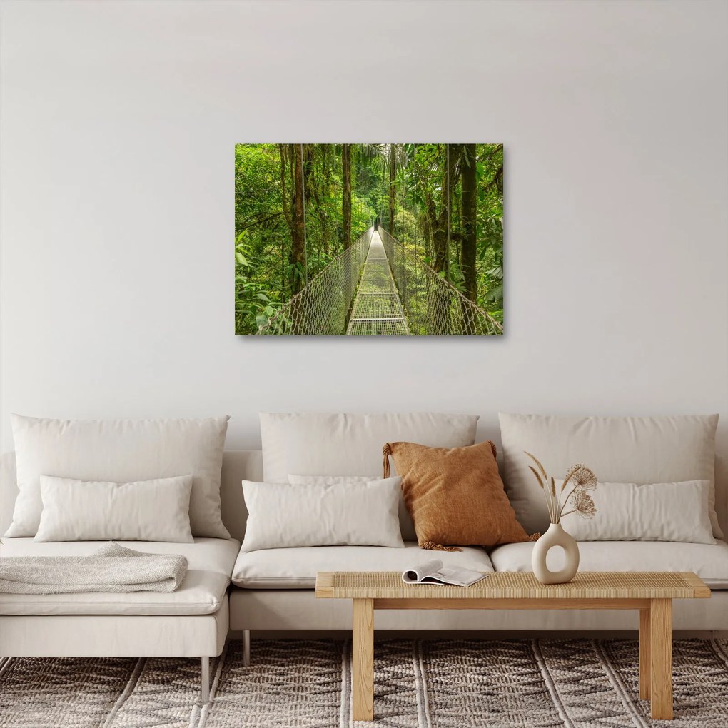 Tablou - Pod suspendat (70x50 cm)