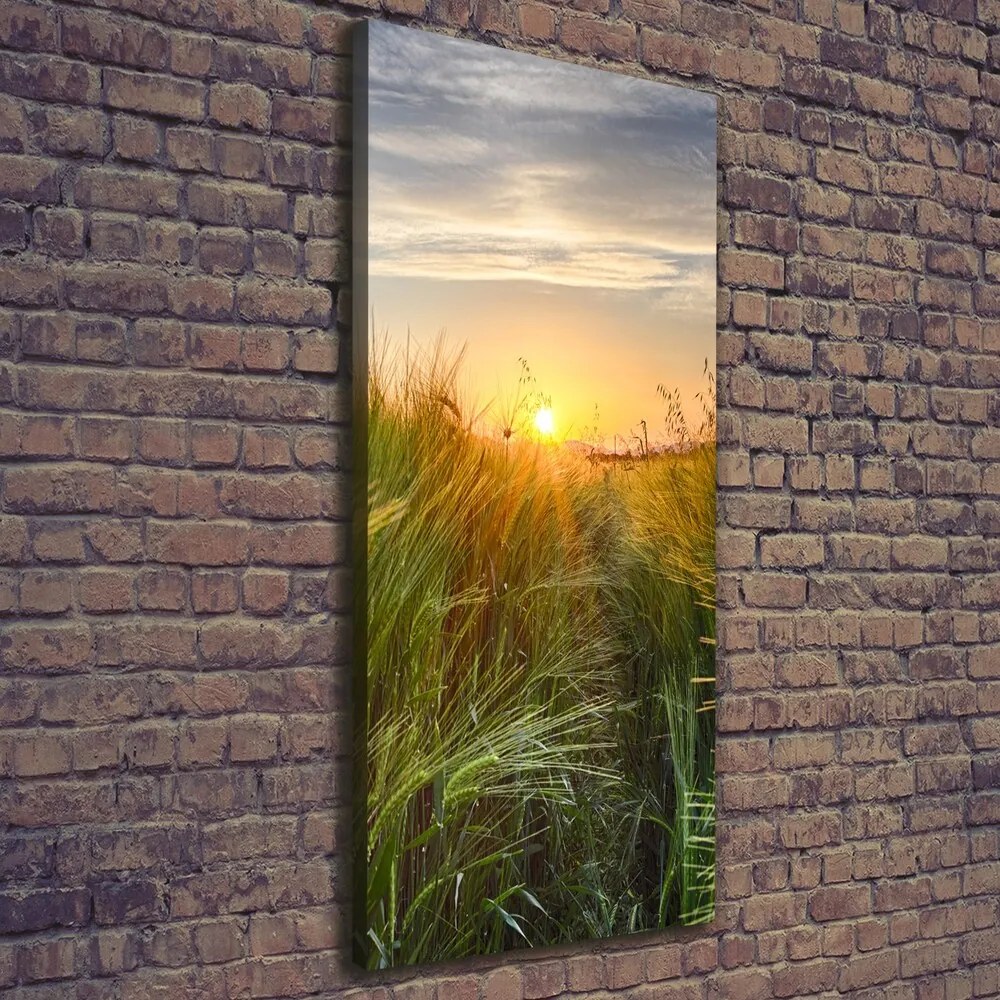 Imprimare tablou canvas Câmp de grâu