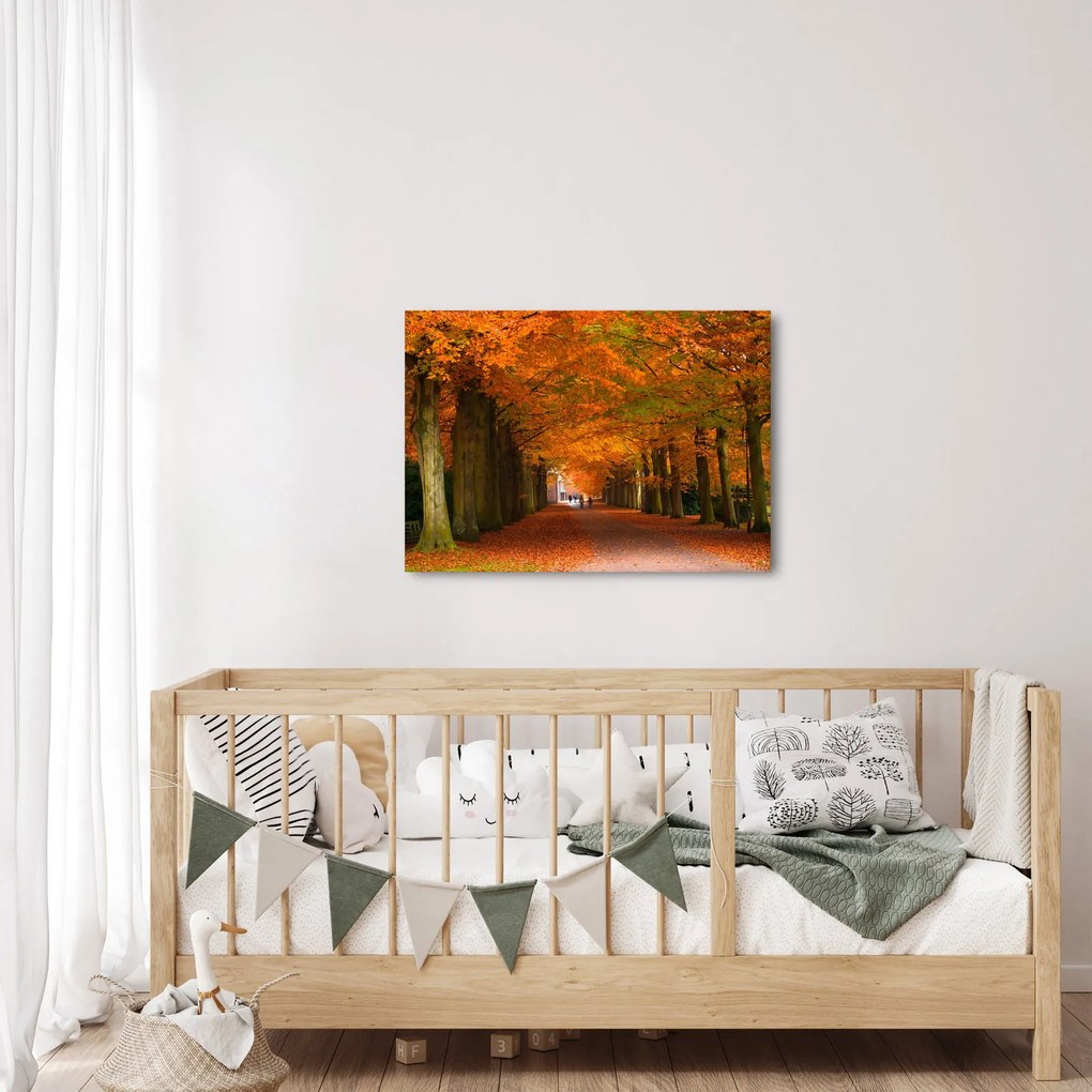Tablou - Bulevardul de copaci în toamnă (70x50 cm)