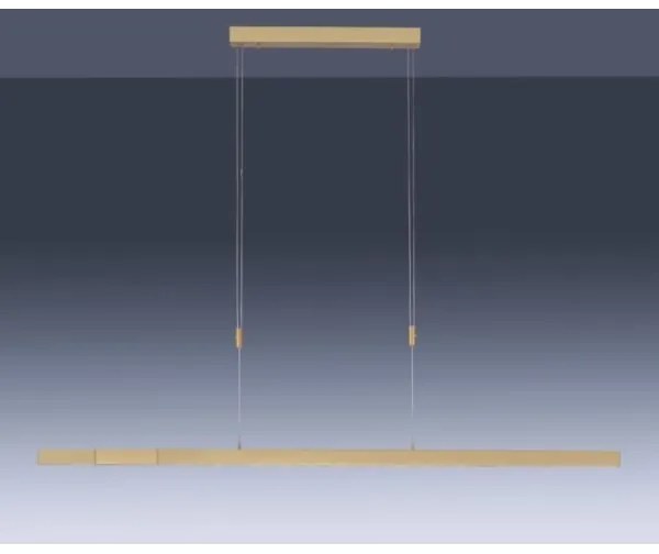 Lustră LED dimabilă pe cablu Paul Neuhaus 2568-60 ADRIANA LED/14W/230V alămie