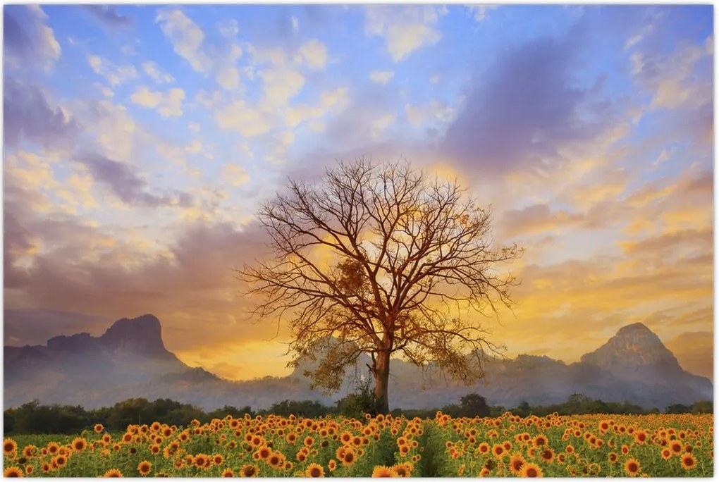 Tablou - Peisaj cu floarea soarelui (90x60 cm)