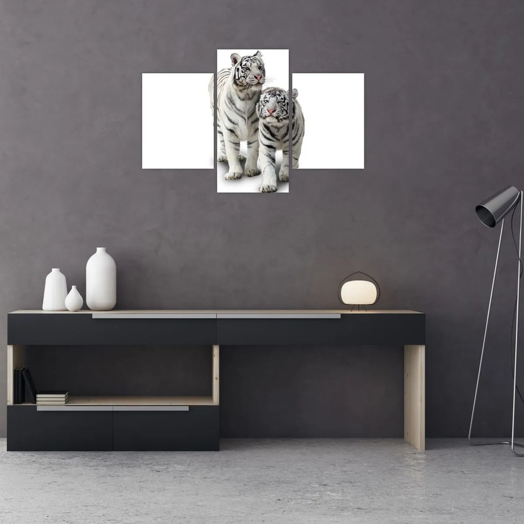 Tablou - Tigrul alb (90x60 cm)
