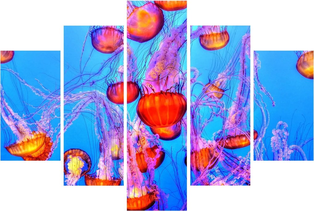 Tablou cu meduse în mare (150x105 cm)