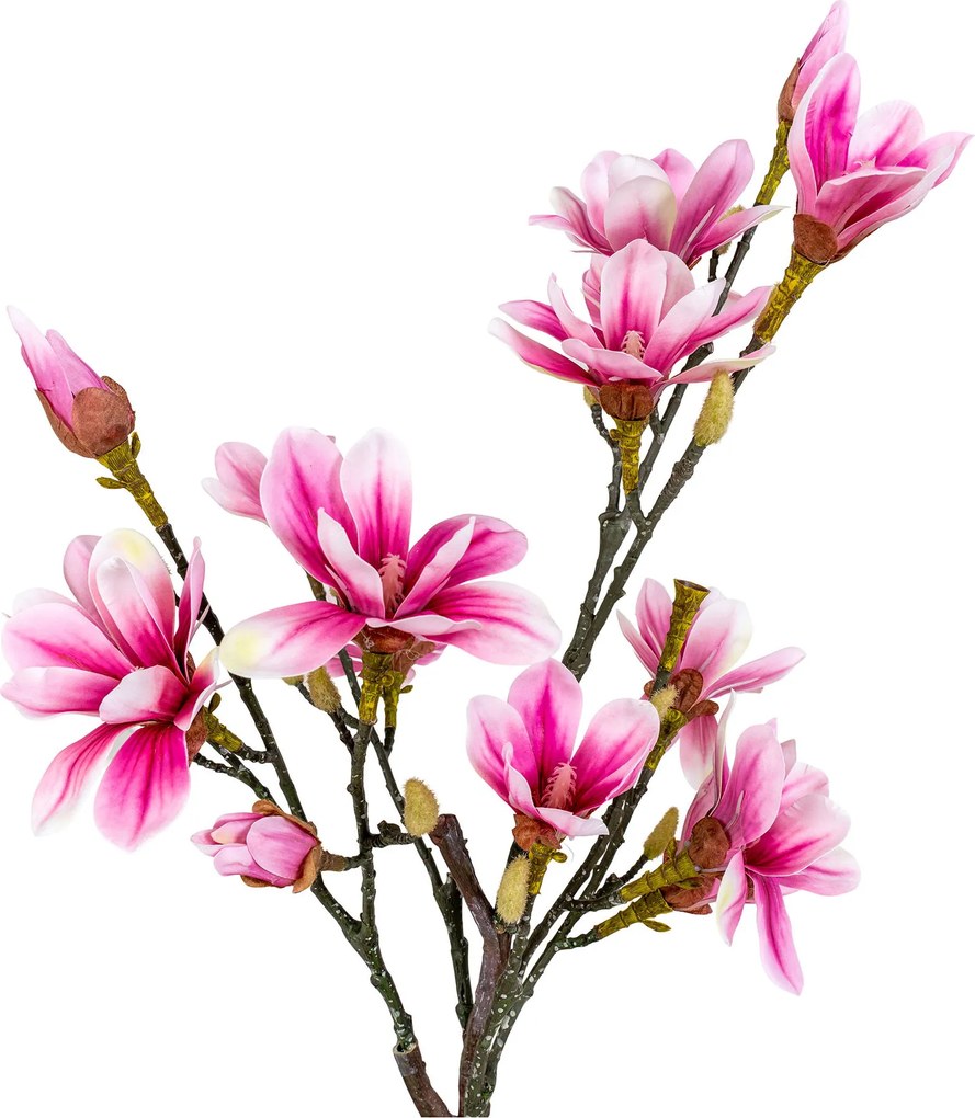 Magnolia Mirelia (verde + roz). Promo -17%. 1147146