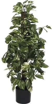 Planta artificiala Scindapsus, Ø 45 cm, H 110 cm, verde