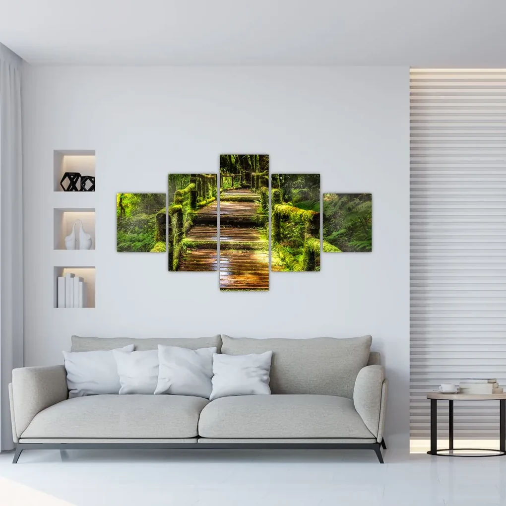 Tablou cu scări într-o pădure tropicală (125x70 cm), în 40 de alte dimensiuni noi