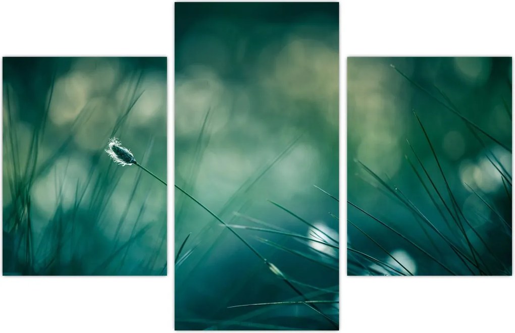 Tablou - Detaliu iarbă (90x60 cm)