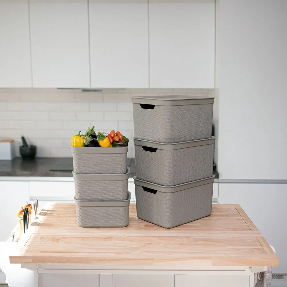 Cutie de depozitare din plastic cu capac Deco - Rotho