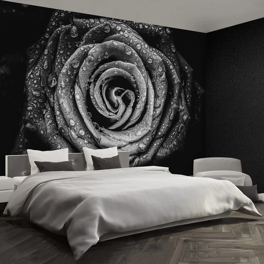 Fototapet Rose negru