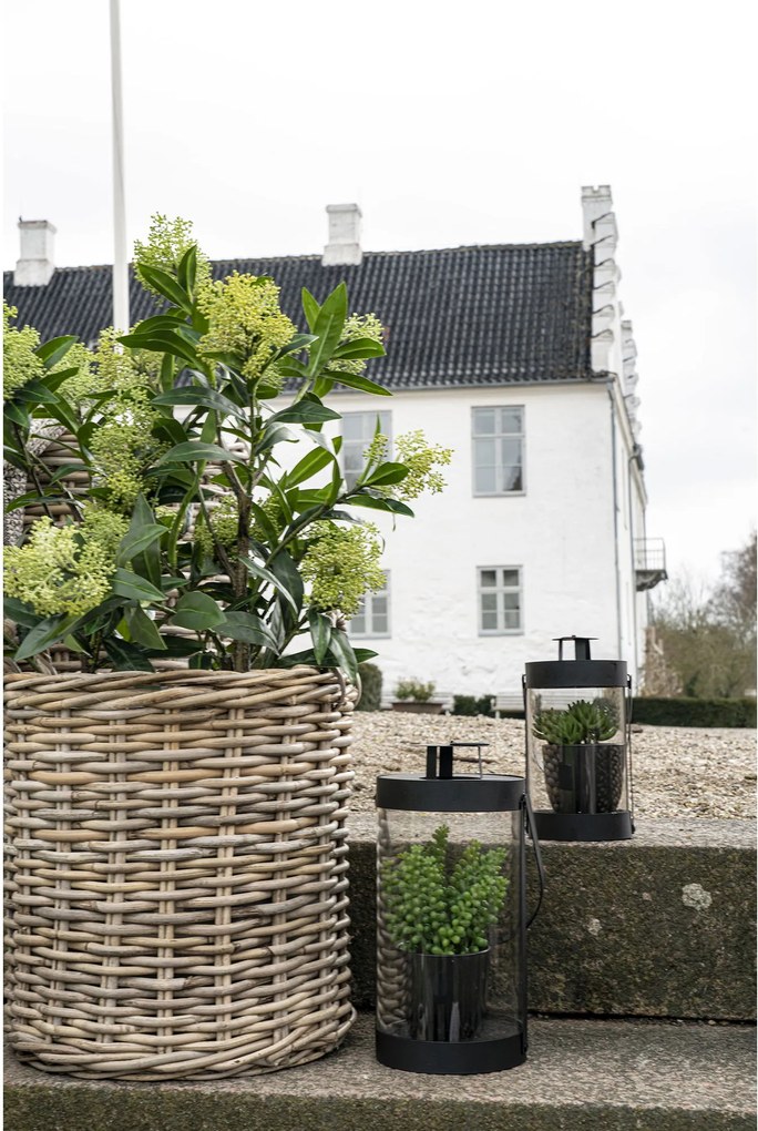 Copac Stalina (verde). Promo -9%. 1147558