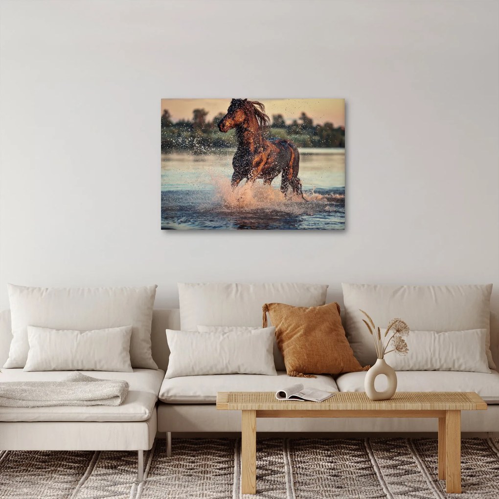 Tablou - Cal care aleargă (70x50 cm)