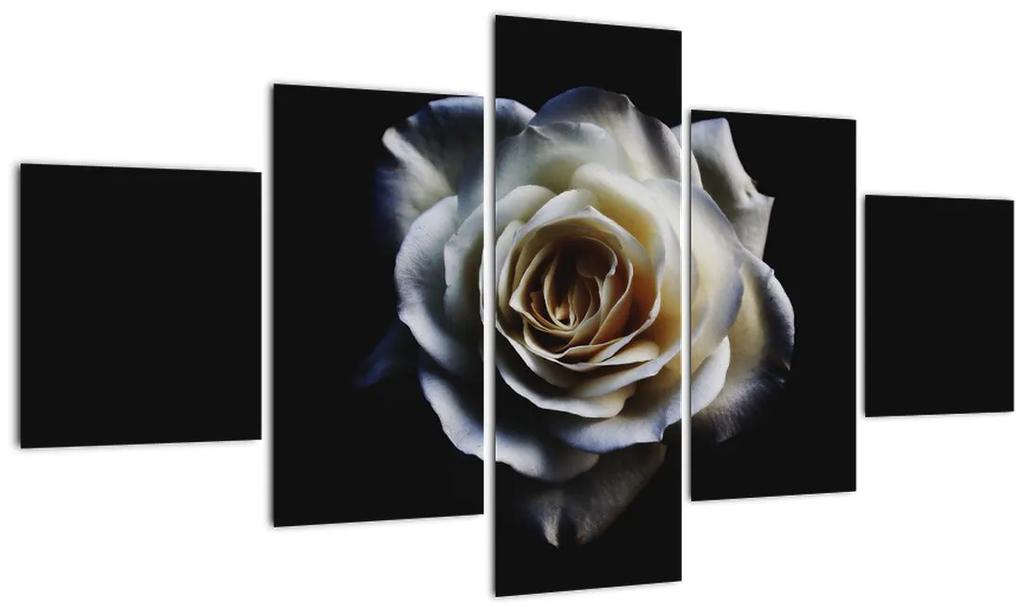 Tablou  cu trandafir alb (125x70 cm), în 40 de alte dimensiuni noi