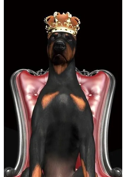 Tablou DOG IN CROWN 80x120cm